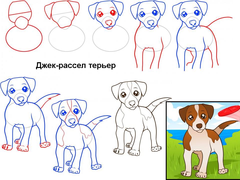 Как нарисовать песика поэтапно Как нарисовать песика поэтапно
