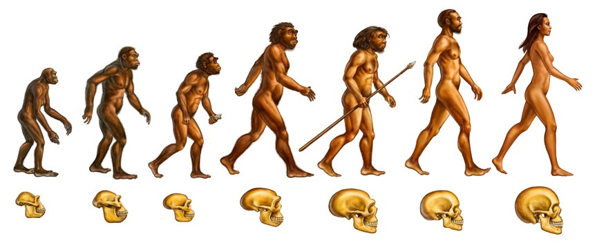 a discussion on the facts about the evolution theory of human existence The remarkable fact is that all of the physical evidence we have for human evolution the existence of the theory of evolution in this discussion are. a discussion on the facts about the evolution theory of human existence The remarkable fact is that all of the physical evidence we have for human evolution the existence of the theory of evolution in this discussion are.