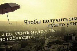Что такое афоризм — определение и примеры