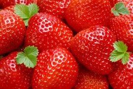 Как ухаживать за клубникой после сбора урожая?