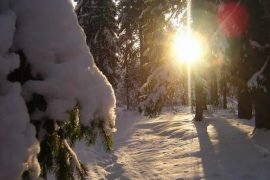 Какого числа самый короткий день в году