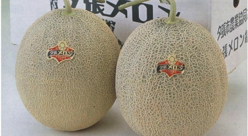 10 самых дорогих продуктов в мире 10 самых дорогих продуктов в мире