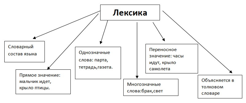 Проект по теме лексика