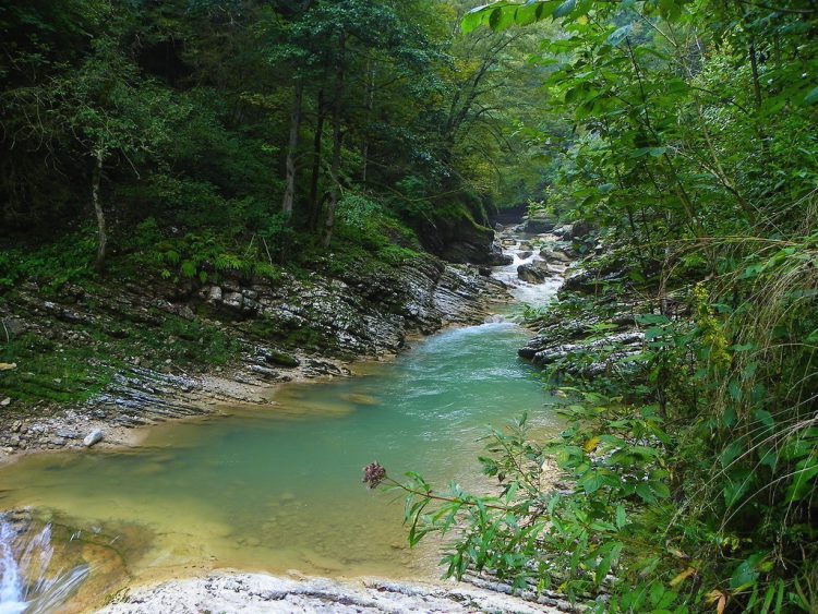 ���, ��� ����������� ����� ������������� ���� ����� ���� �������� ���