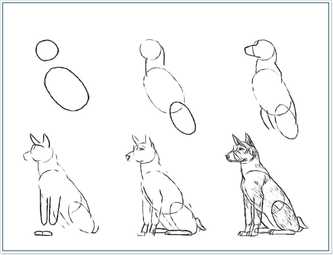 Картинки для начинающих. Поэтапное рисование собаки. Схема рисования собаки. Поэтапный рисунок собаки. Пошаговое рисование собаки.