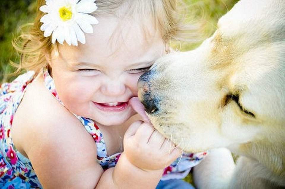 Люди проявляют доброту. Дети и животные доброта. О доброте. Животные и дети смеются. Для детей. Животные.