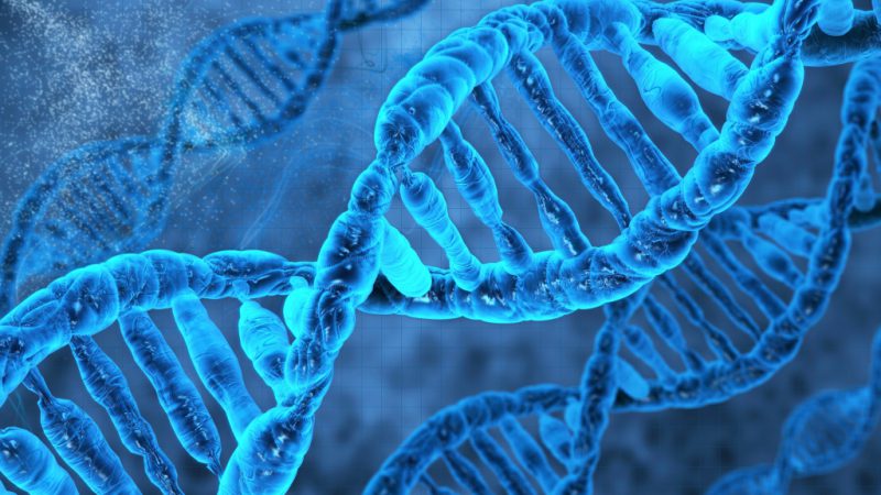 Что изучает биография в биологии. Смотреть фото Что изучает биография в биологии. Смотреть картинку Что изучает биография в биологии. Картинка про Что изучает биография в биологии. Фото Что изучает биография в биологии