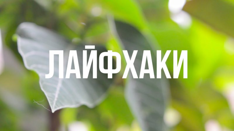 Лайфхаки что это означает простыми словами