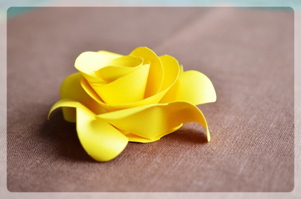 бумажная роза