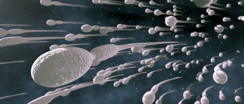 через сколько погибают сперматозоиды на воздухе | Дзен