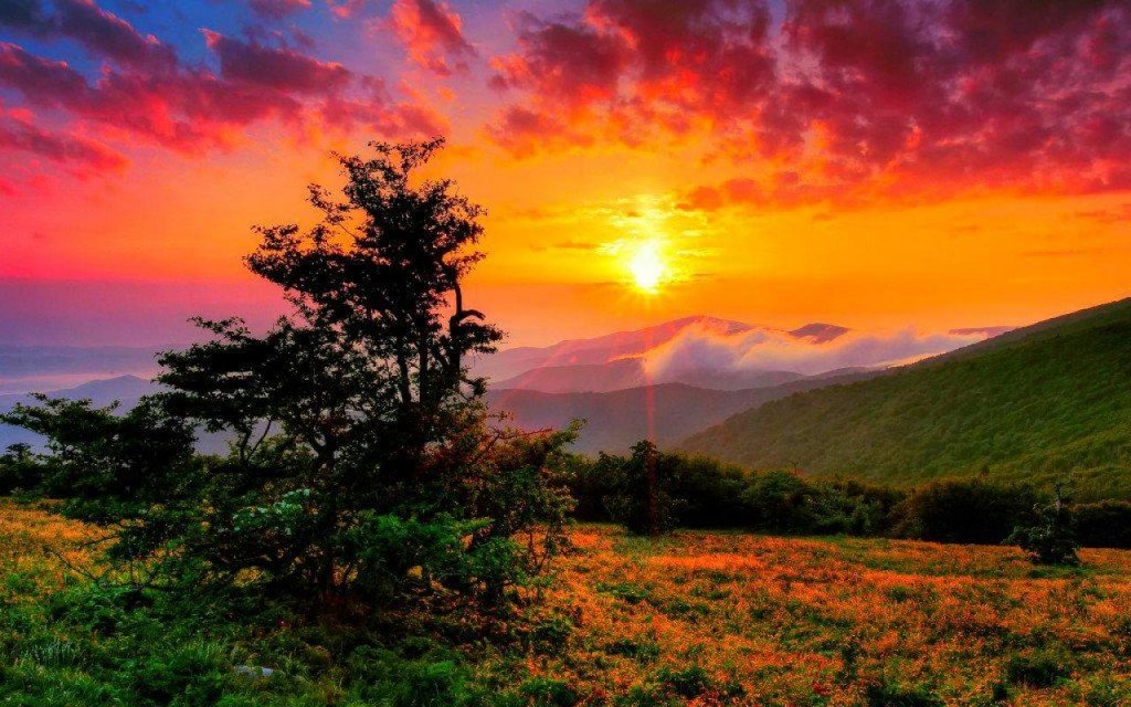 Где садится солнце? Как перемещается солнце, движение и закат