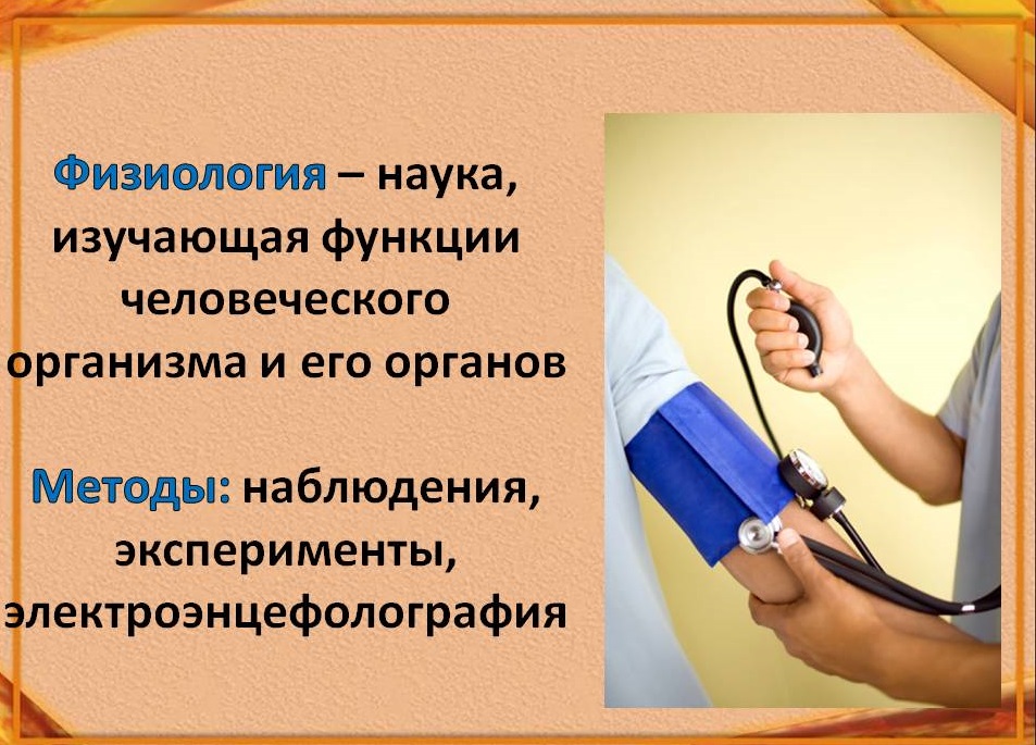 Что изучает физиология, что такое физиология - определение