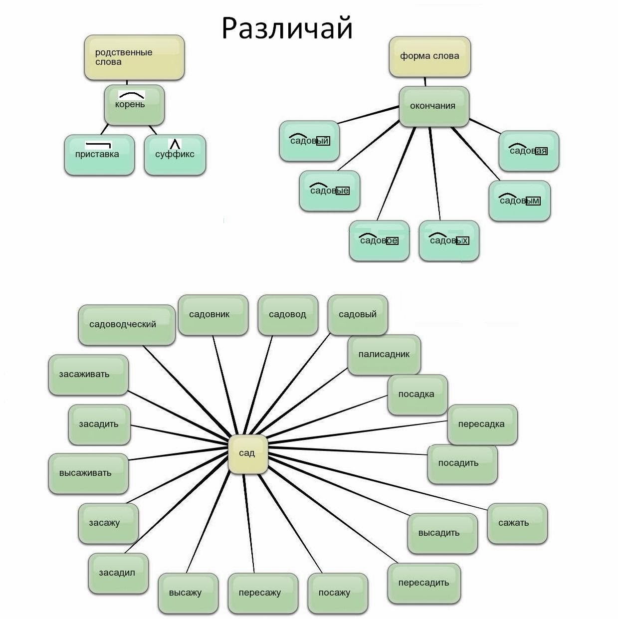 Образец родственные слова