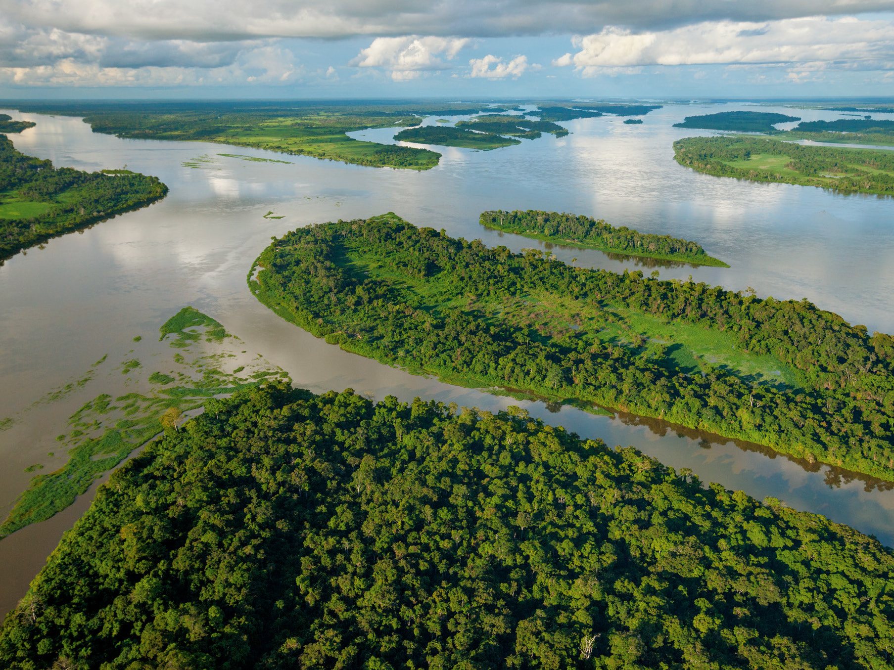 Полноводная река планеты. Бассейн реки Конго. Национальный парк Салонга. Конго Заир река. Река Конго в Африке.