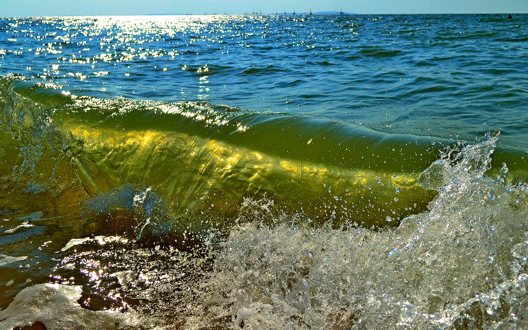 азовское море вода