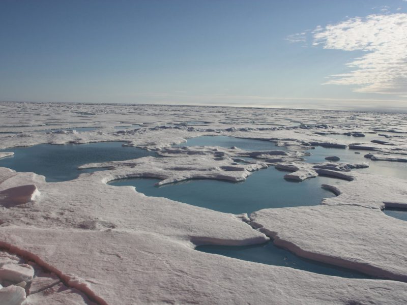 Восточно сибирское море фото