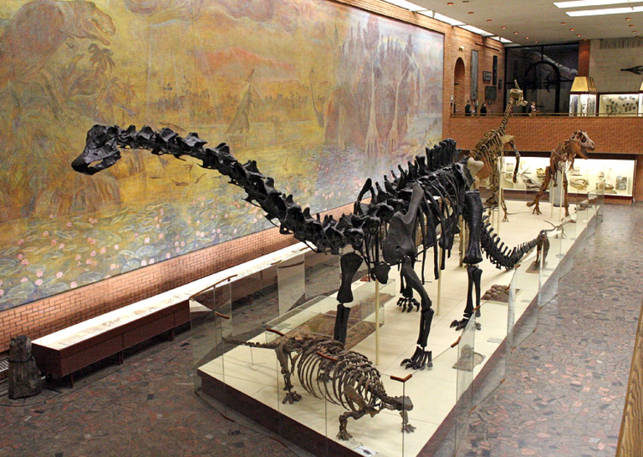 музей палеонтологии