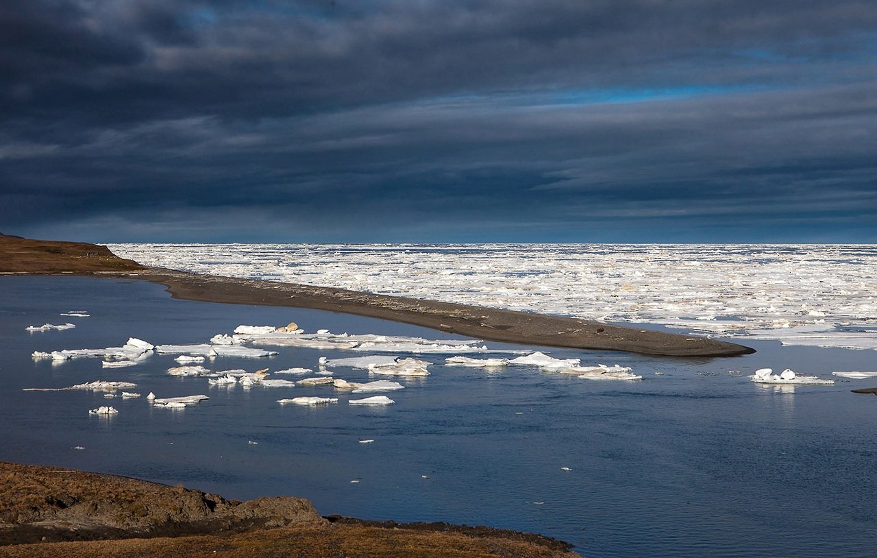 Море Лаптевых льды