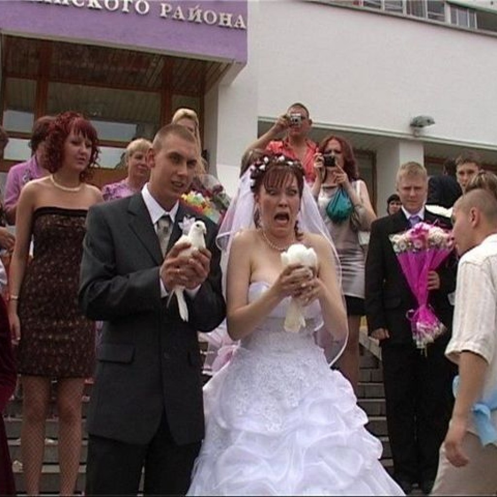 свадьба голуби