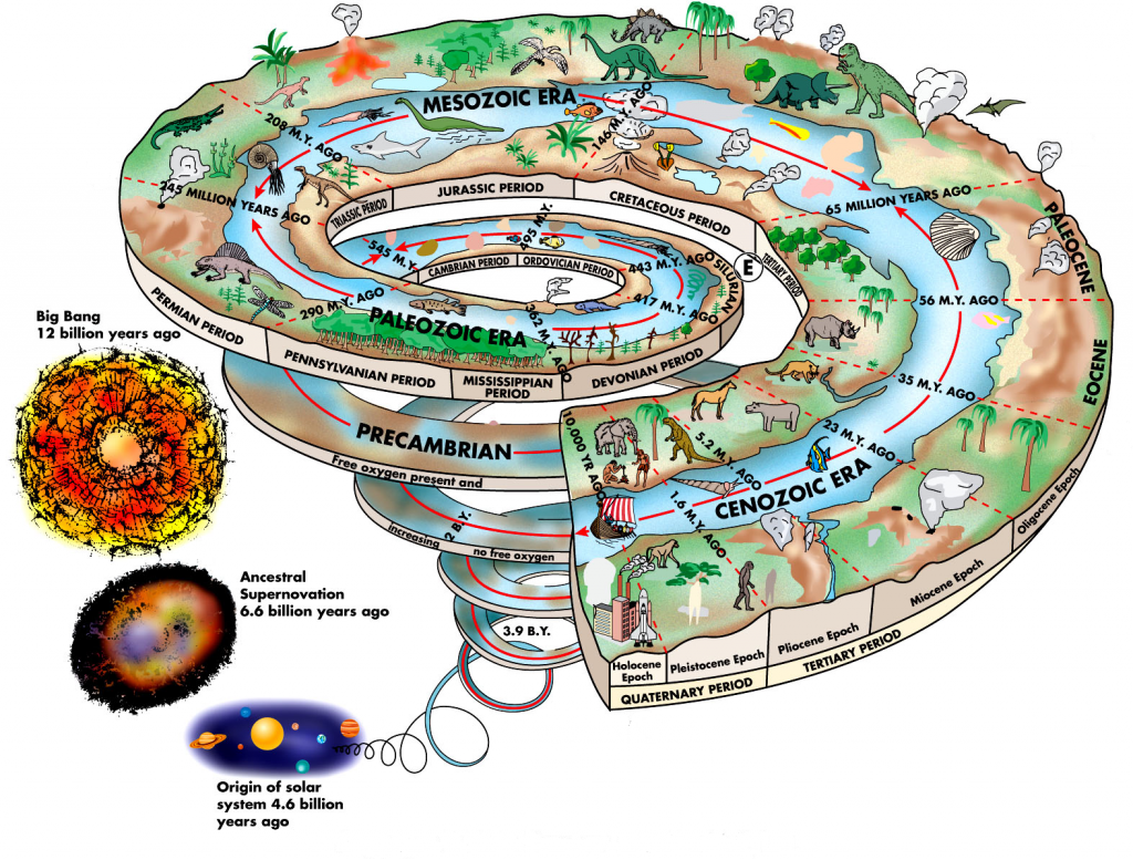 Эволюция земли. Спираль развития жизни на земле. Спираль эволюции. Эволюция жизни на земле.