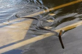 Дорога под водой