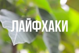 Что такое лайфхак?