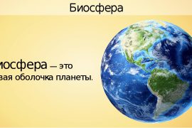Что такое Биосфера?