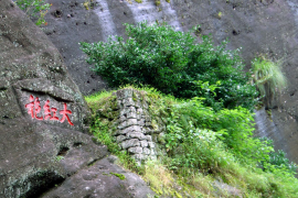 Самый дорогой чай в мире – фото и стоимость