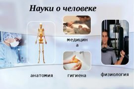 Что изучает физиология человека. Определение – что такое физиология