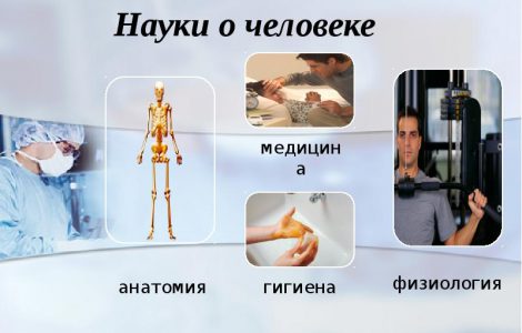 Что изучает физиология человека. Определение – что такое физиология