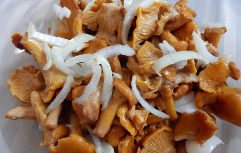 Как мариновать лисички в домашних условиях